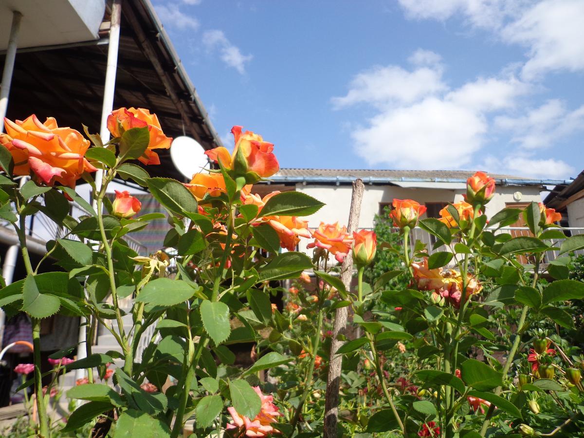 Anush'S B&B Tat'ev Bagian luar foto